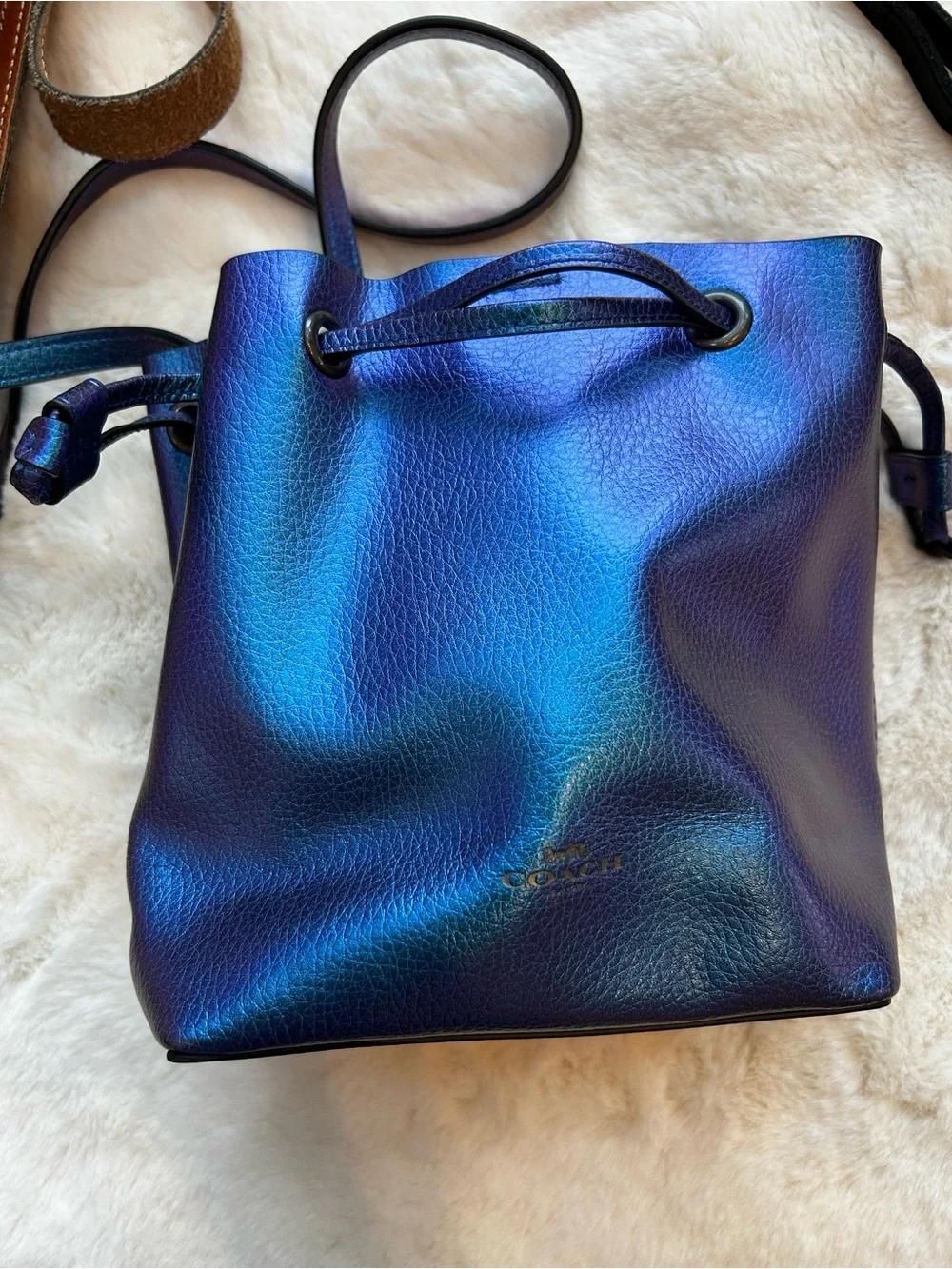 Coach NASA F29204 DerbyHologram Crossbody Blue PurplePebbled Leather Bag